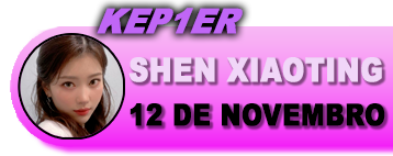 Shen Xiaoting 12/11