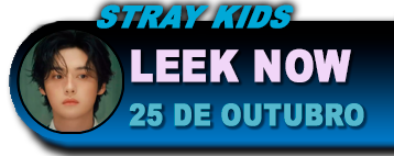 Lee Know 25/10