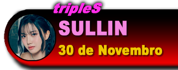 Sullin 30/11